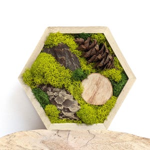 Hexagon Green Moss Wall Art | Hexagon Moss Decor | Forest Green Pinecone Wall Art | Honeycomb Moss Decor | Woodland Decor | USA - NO TARIFFS