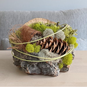 Small Moss Centerpiece | Fall Decor | Preserved Moss Decor | Small Moss Arrangement | Rustic Table Centerpiece | Natural Table Centerpiece