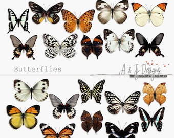 Mariposas, uso comercial, revistas basura, arte digital, descarga digital