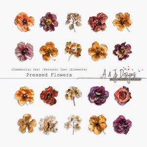 Fiori pressati, Uso commerciale, Elementi, Clipart e file di immagine, Stampabili, Diari spazzatura, Scrapbooking, Download istantaneo