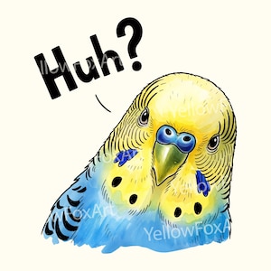 Funny Budgie Parrot PNG: Watercolor Printable Art (Digital Download
