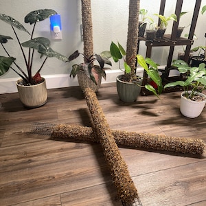 Moss Poles