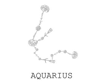 Aquarius + Carnation - January Zodiac Flower Constellation Digital Download