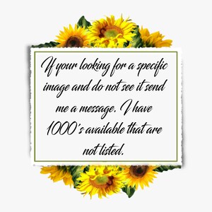 May include: A white rectangular card with a torn edge, surrounded by sunflowers. The card contains black script that reads, "If your looking for a specific image and do not see it send me a message. I have 1000's available that are not listed."