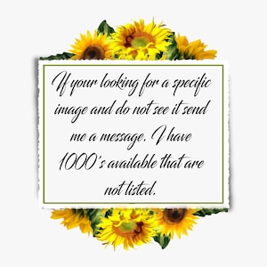 Puede incluir: Una tarjeta rectangular blanca con borde rasgado, rodeada de girasoles. La tarjeta contiene texto en negro que dice: "If your looking for a specific image and do not see it send me a message. I have 1000's available that are not listed."