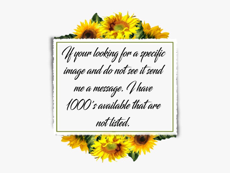 Puede incluir: Una tarjeta rectangular blanca con borde rasgado, rodeada de girasoles. La tarjeta contiene texto en negro que dice: "If your looking for a specific image and do not see it send me a message. I have 1000's available that are not listed."