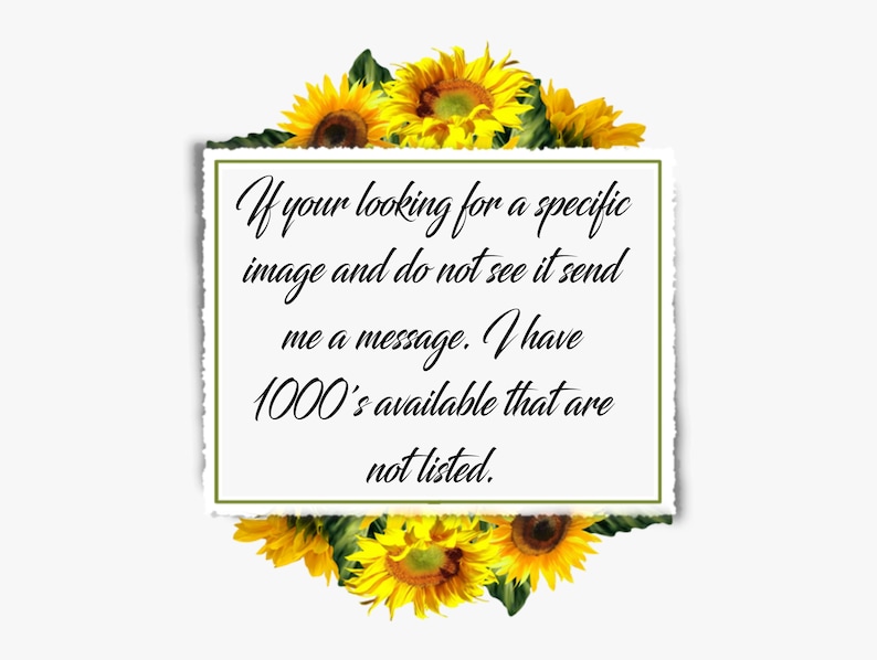 K&ouml;nnte beinhalten: Eine wei&szlig;e rechteckige Karte mit zerrissenen R&auml;ndern, umgeben von Sonnenblumen. Der Text auf der Karte lautet: "If your looking for a specific image and do not see it send me a message. I have 1000's available that are not listed."