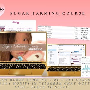 Pode incluir: Dois laptops dourados exibem um curso intitulado "Sugar Farming Course Mini Course". A imagem inclui texto sobre como ganhar dinheiro e uma etiqueta de preço de $1.920. O fundo é de cor rosa claro.