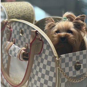 Louis Vuitton Dog Carrier Etsy