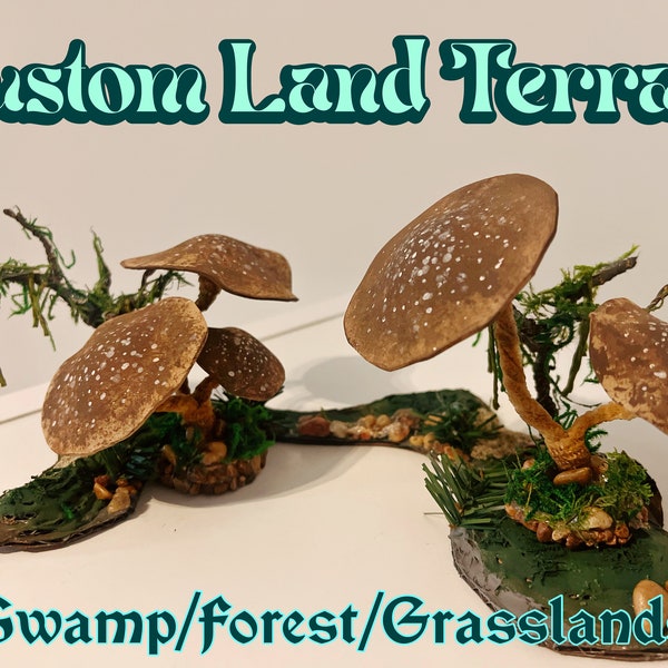 Custom Land Terrain