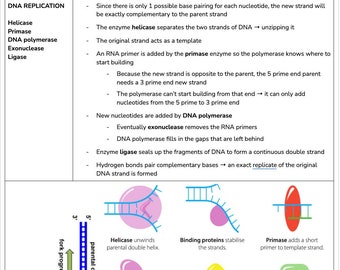 Band 6 HSC Biology Notes - Module 5 Heredity