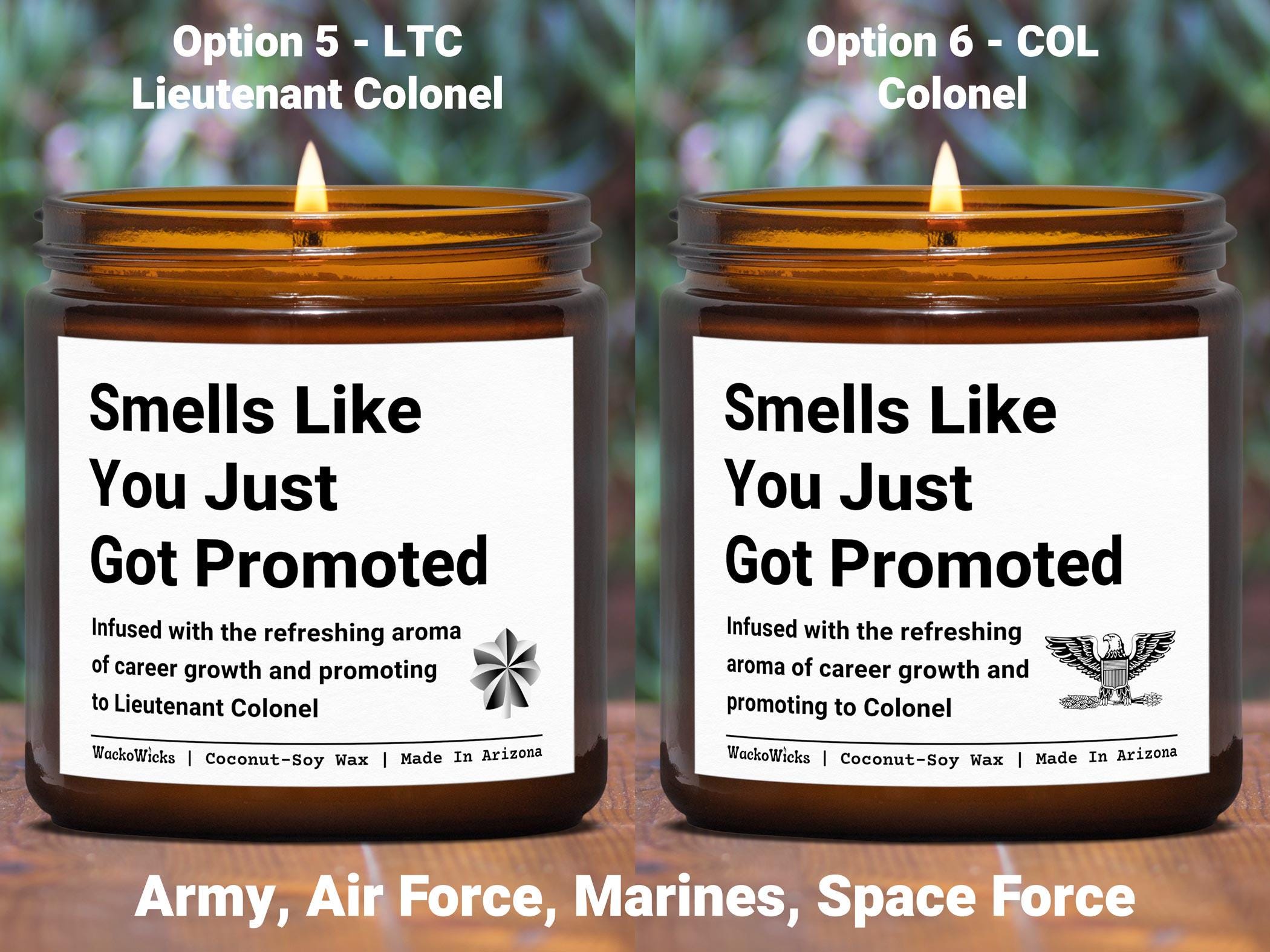 Military Officer Promotion Gift, Army Officer Promotion Gift, Air Force ...
