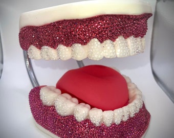 BEDAZZLED TEETH MODEL, gift for dentist, dental hygienist, dental student, orthodontist, anatomy model