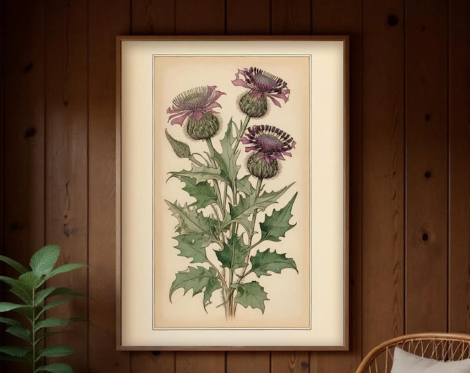 Purple Thistle Art Nouveau Giclée Print: Vintage Floral Illustration