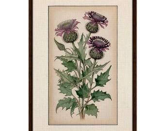 Framed Canvas "Purple Thistles" - Rennie Mackintosh Style - Glasgow Style Art - Art Nouveau