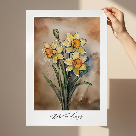 Handdrawn Wales Daffodils Poster - Floral Wall Art - The national flower of Wales