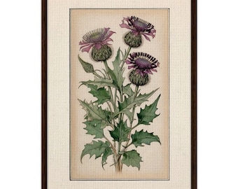 Framed Thistle Canvas: Rennie Mackintosh Art Nouveau Style