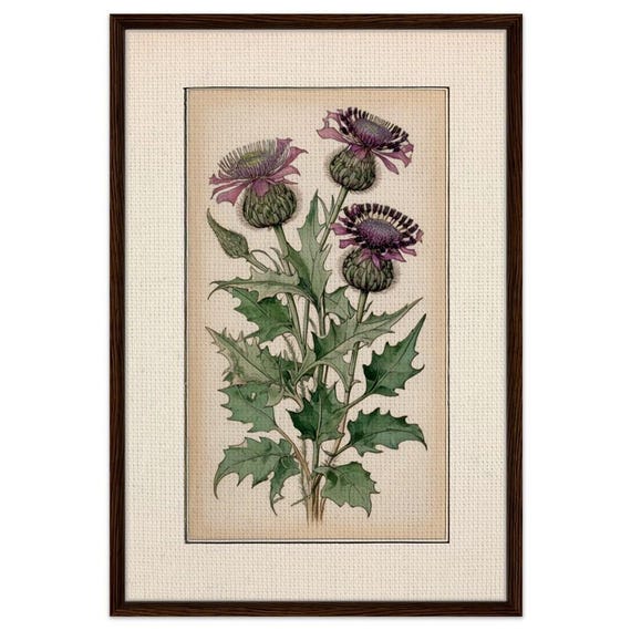 Framed Thistle Canvas: Rennie Mackintosh Art Nouveau Style
