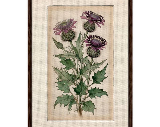 Framed Thistle Canvas: Rennie Mackintosh Art Nouveau Style