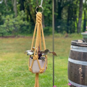 May include: A yellow macrame plant hanger with a white ceramic pot and a green plant hanging from a metal hook.