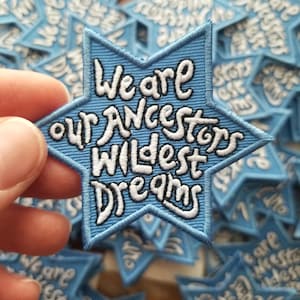 Wildest Dreams Fight Antisemitism Israel Jewish Pride Opstrijkbare geborduurde patch