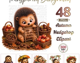 48 Autumn Hedgehog Clipart PNG Bundle, Cute Woodland Hedgehog PNG, Fall Clipart, Woodland Animal Clipart, Transparent Background