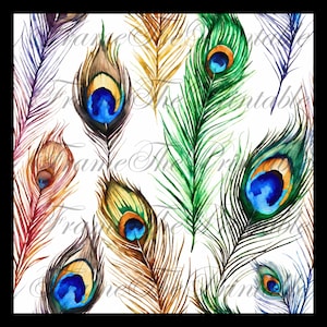 Clipart de pena de pavão, pena de pássaro colorida, penas de cores vibrantes em JPG, penas de arco-íris, download digital, gráficos para cartões