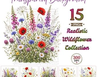 Wildflower Meadow Clipart, Realistic Floral PNG Bundle, 15 Transparent Flowers for Crafts, Cards and Sublimation