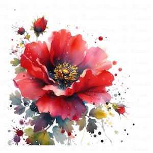 12 cliparts aquarelle fleurs rouges, lot de fleurs de mariage, faire-part design rouge PNG TB, art numérique haute résolution, fond Transparent