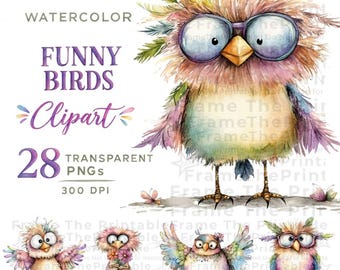 Funny Bird Clipart, 28 Quirky Watercolor Birds, Transparent PNG