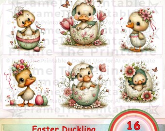 Pastel Easter Duckling Clipart: 16 Whimsical Cute Ducklings in Eggs for Kids Cards, Crafts, Printables PNG 300 DPI Digital Download
