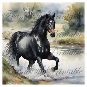 Horse Clipart, Running Floral Animal PNG, Animals Bundle, Farm Animals Bundle, Western Horse, White Black Horses with Flowers, Digital Art