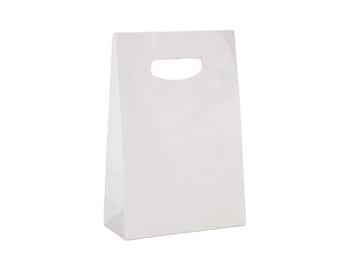 May include: A white paper gift bag with a cut-out handle.