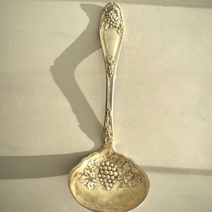 May include: A silver serving spoon with a grape and leaf design. The spoon has a rounded bowl and a long handle, with detailed grape clusters and leaves. The spoon is likely made of silver or a silver-plated metal.