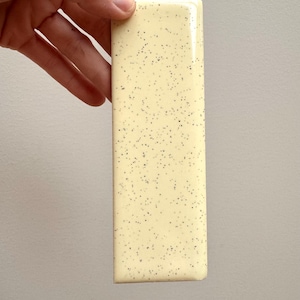 May include: A rectangular ceramic tile with a glossy finish, featuring a pale cream base colour and a speckled pattern of small, dark brown to black dots distributed across the entire surface, with rounded edges and a smooth, reflective texture.