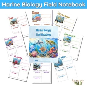 Marine Biology Field Notebook | Ocean Animal Research Pages | Activity Book | Homeschool Science Printable PDF | Nature Journal