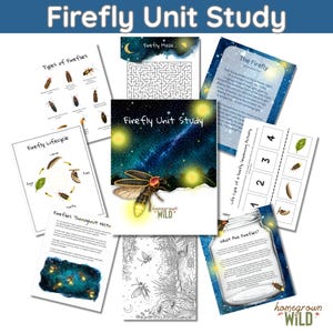 May include: A collection of educational printables titled "Firefly Unit Study." The materials include pages on firefly types, lifecycle, history, a maze, a poem, and a sequencing activity. The cover features a firefly illustration.