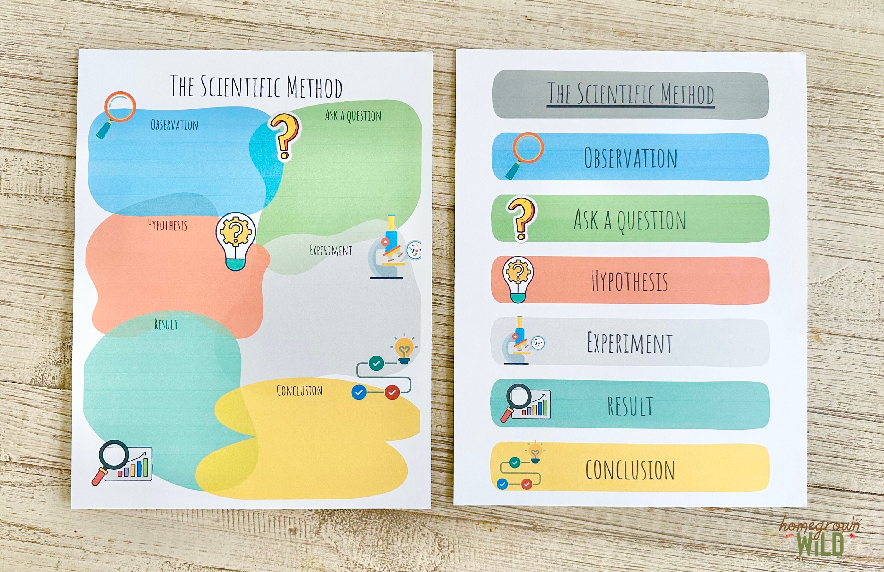 The Scientific Method | Homeschool Worksheet | Science | Home Learning ...