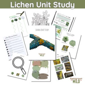 Eenheidsonderzoek korstmossen | Thuisonderwijs | Wildschooling | Natuurschool | Mos