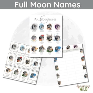 Full Moon Names Poster & Flashcards | Homeschool Nature Study | Home Learning Worksheet | Lunar | Months | Astronomy