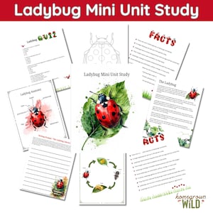 Ladybug Mini Unit Study | Insect Worksheets | Nature Study