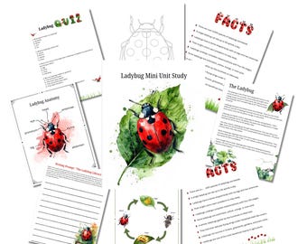 Ladybug Mini Unit Study | Insect Worksheets | Nature Study
