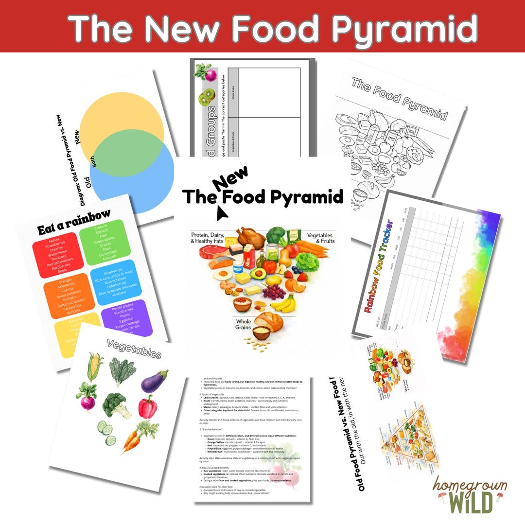 The New 2026 Food Pyramid Unit Study | Health & Body | Nutrition ...