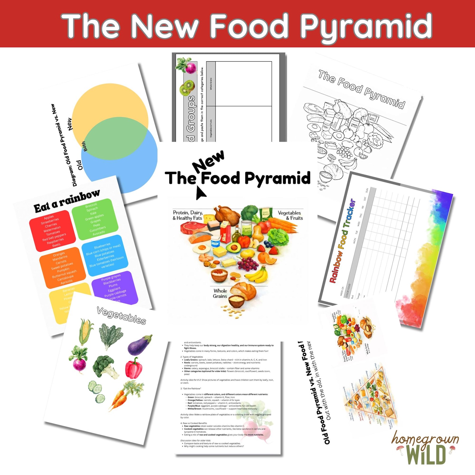 The New 2026 Food Pyramid Unit Study | Health & Body | Nutrition ...