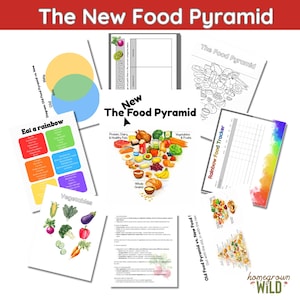 Nowa Piramida Żywienia 2026 – Studium Jednostkowe | Zdrowie i Ciało | Odżywianie | Witaminy | Minerały