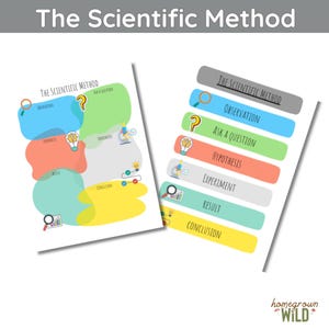 The Scientific Method  | Homeschool Worksheet | Science | Home Learning