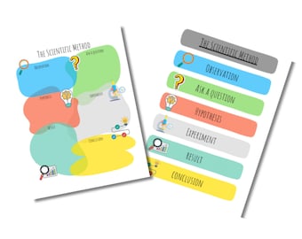 The Scientific Method  | Homeschool Worksheet | Science | Home Learning