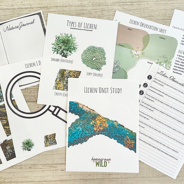 Lichen Unit Study | Homeschool | Wildschooling | Nature School | Worksheets