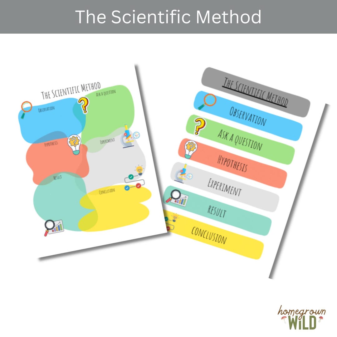 The Scientific Method | Homeschool Worksheet | Science | Home Learning ...