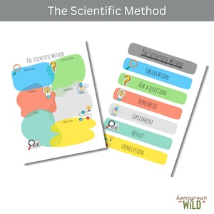 Die wissenschaftliche Methode | Homeschool Arbeitsblatt | Wissenschaft | Zuhause lernen